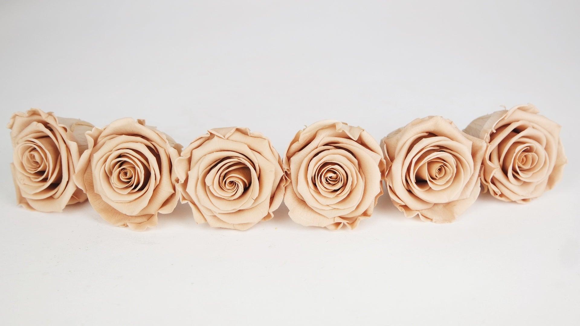 Kiara roses preserved nude - Si-nature wholesale