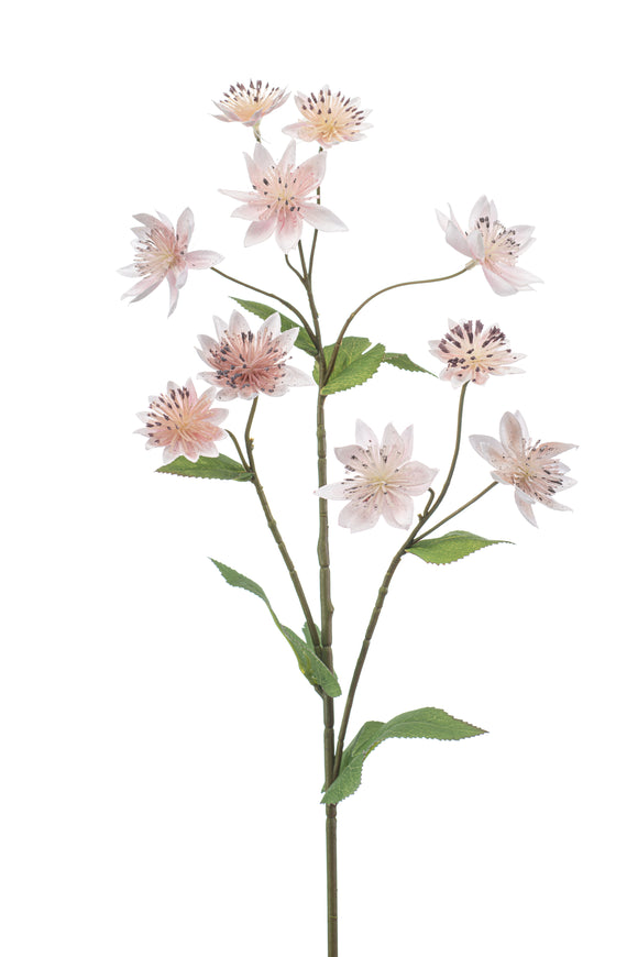 Artificial astrantia - 1 stem - Light pink